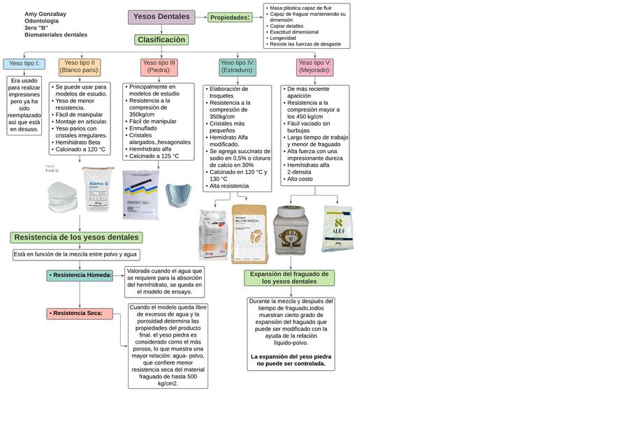 Yesos en odontología