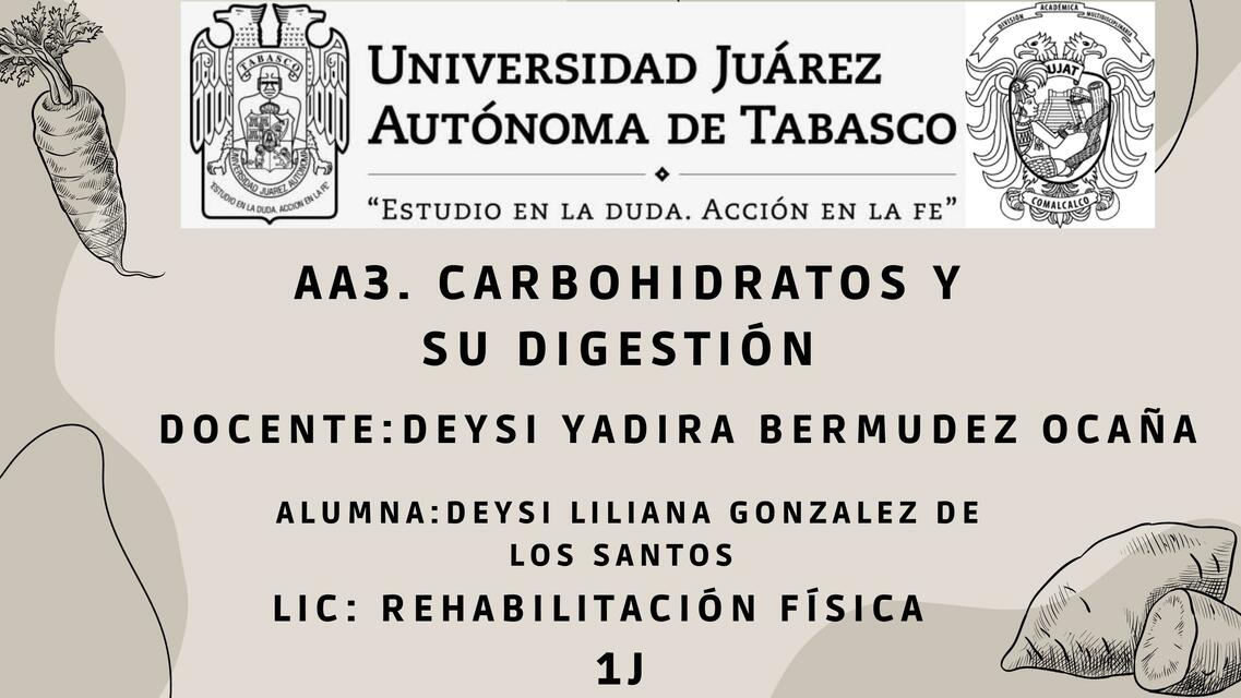 Carbohidratos y su digestión