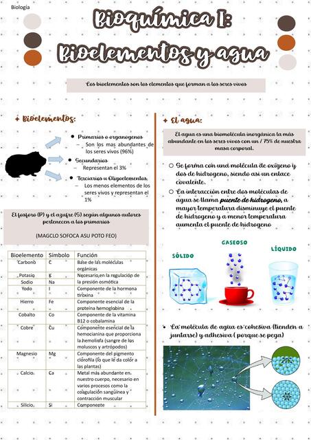 Bioquímica I Bioelementos y agua 