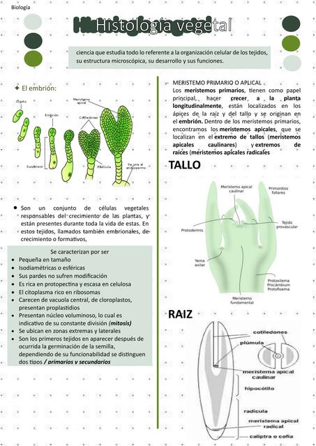 Histología Vegetal