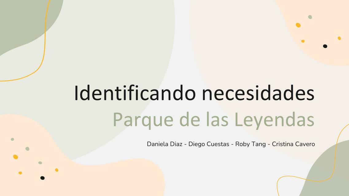 Identificando Necesidades-Parque de las Leyendas 