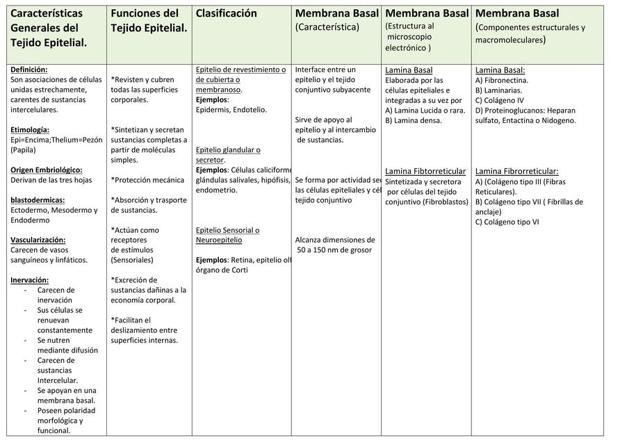 Tejido epitelial tablas