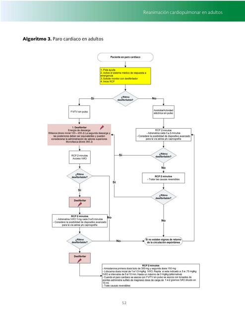 Algoritmo del paro cardiorespiratorio 