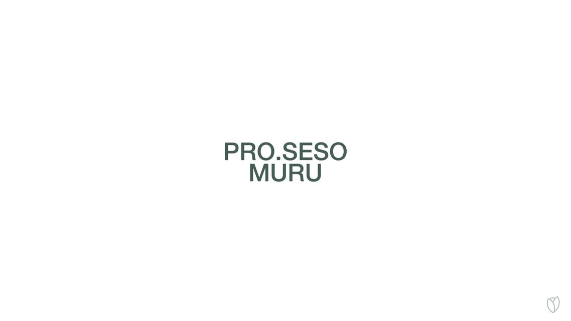 Muru - Proyecto de Editorial