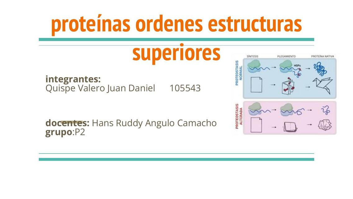 Proteínas ordenes estructuras superiores 