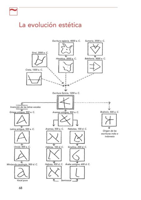 La evolución estética 