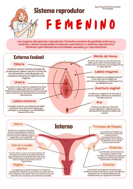 Sistema Reproductor Femenino 