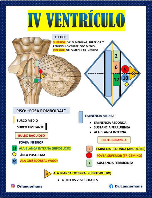 IV VENTR CULO Jordan L pez Acosta UDocz IV VENTR CULO Jordan L pez Acosta UDocz