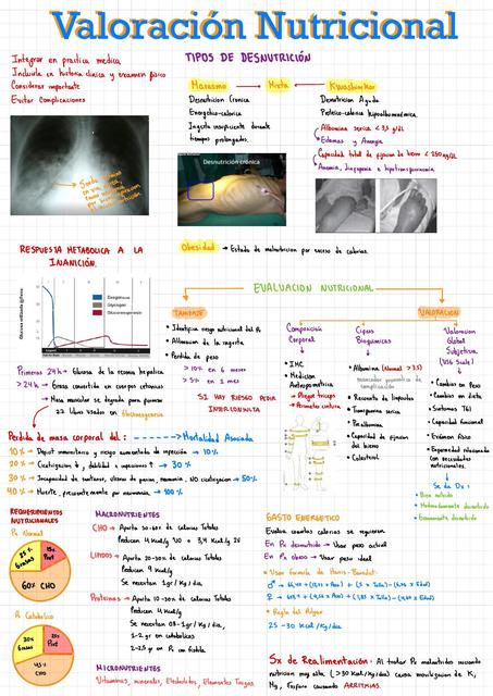 Valoración Nutricional