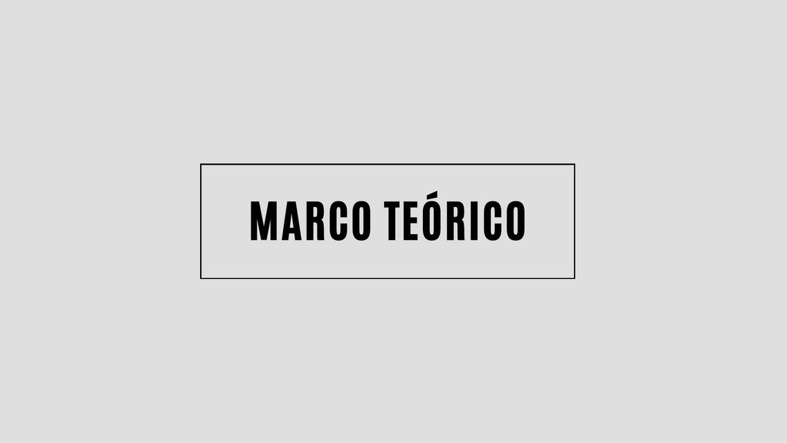 Marco Teórico 