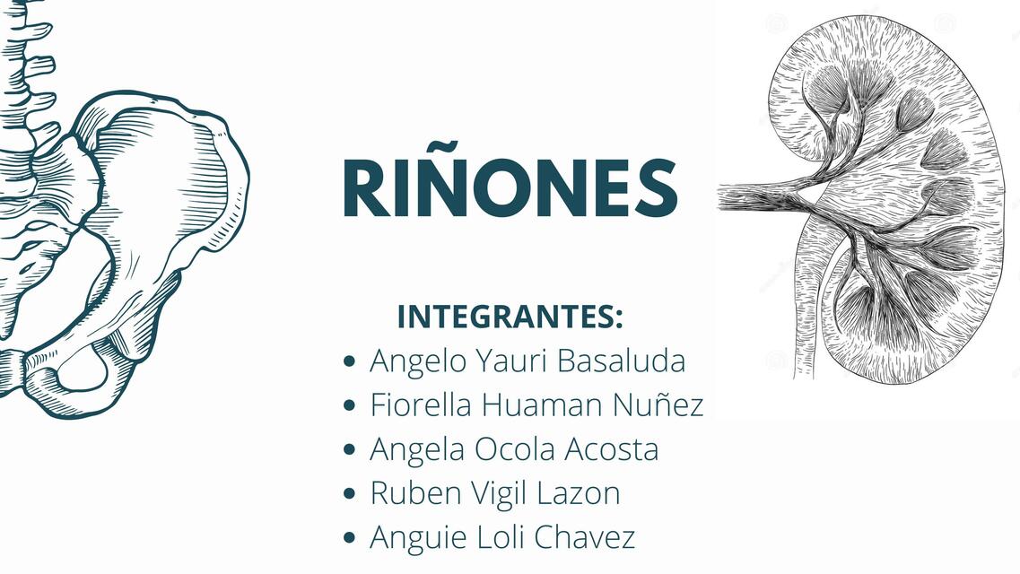 Riñones 