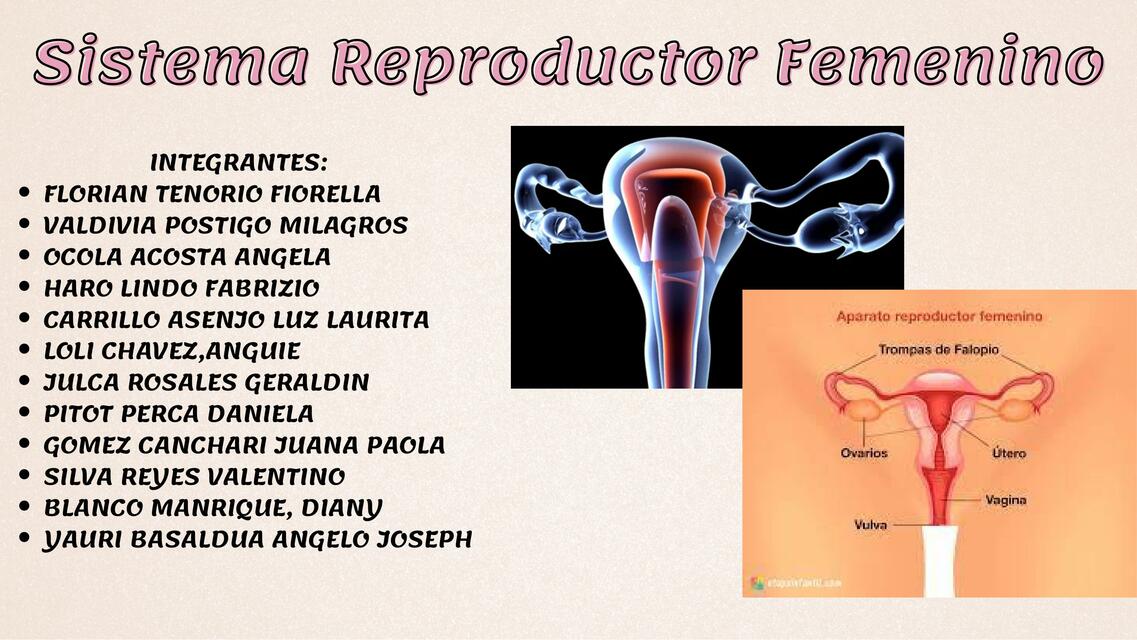 Sistema Reproductor Femenino