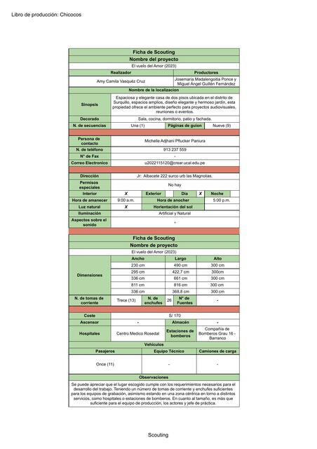 Ficha de Scouting Plantilla Hoja 1 1