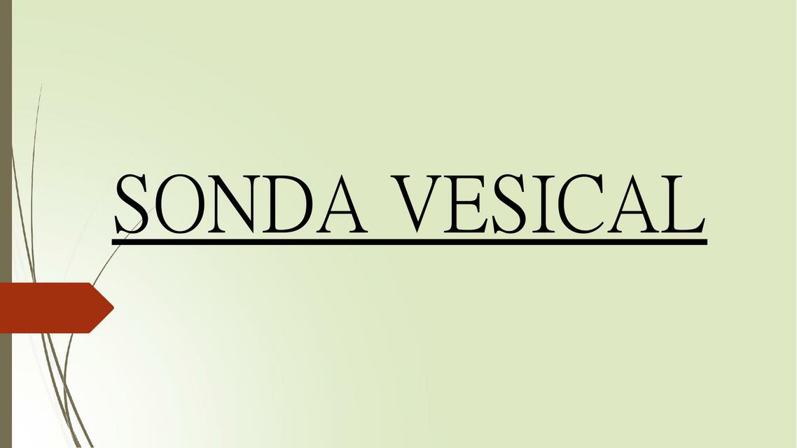 Sonda vesical