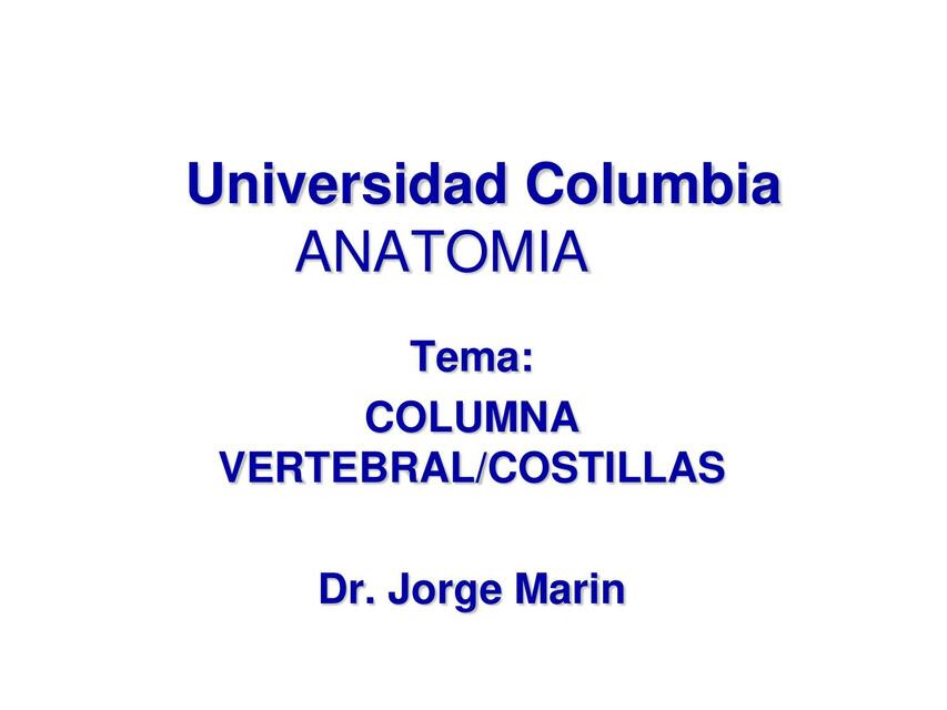 Columna Vertebral/Costillas 