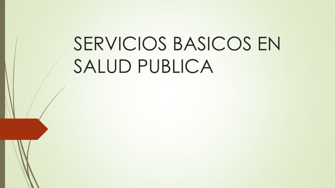 Servicios Básicos en Salud Pública 