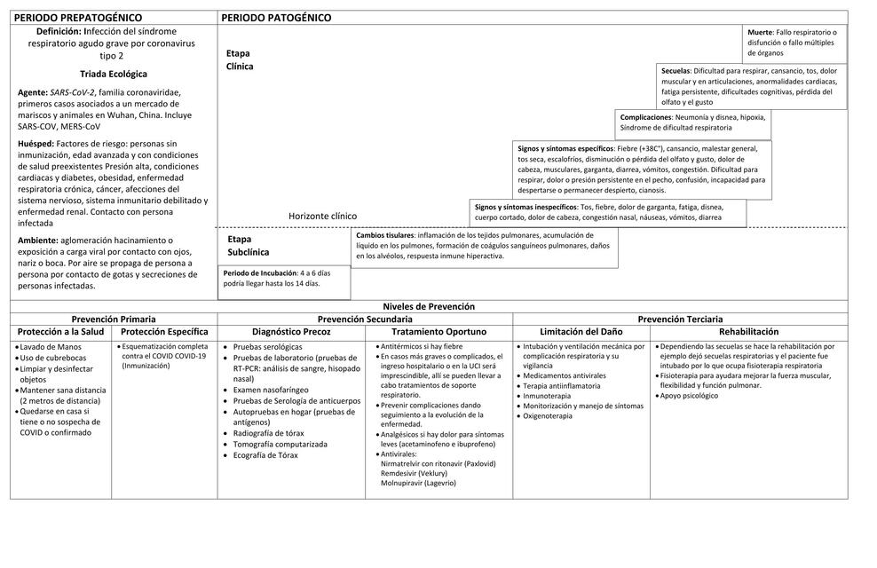 Infección del síndrome respiratorio agudo grave por coronavirus tipo 2