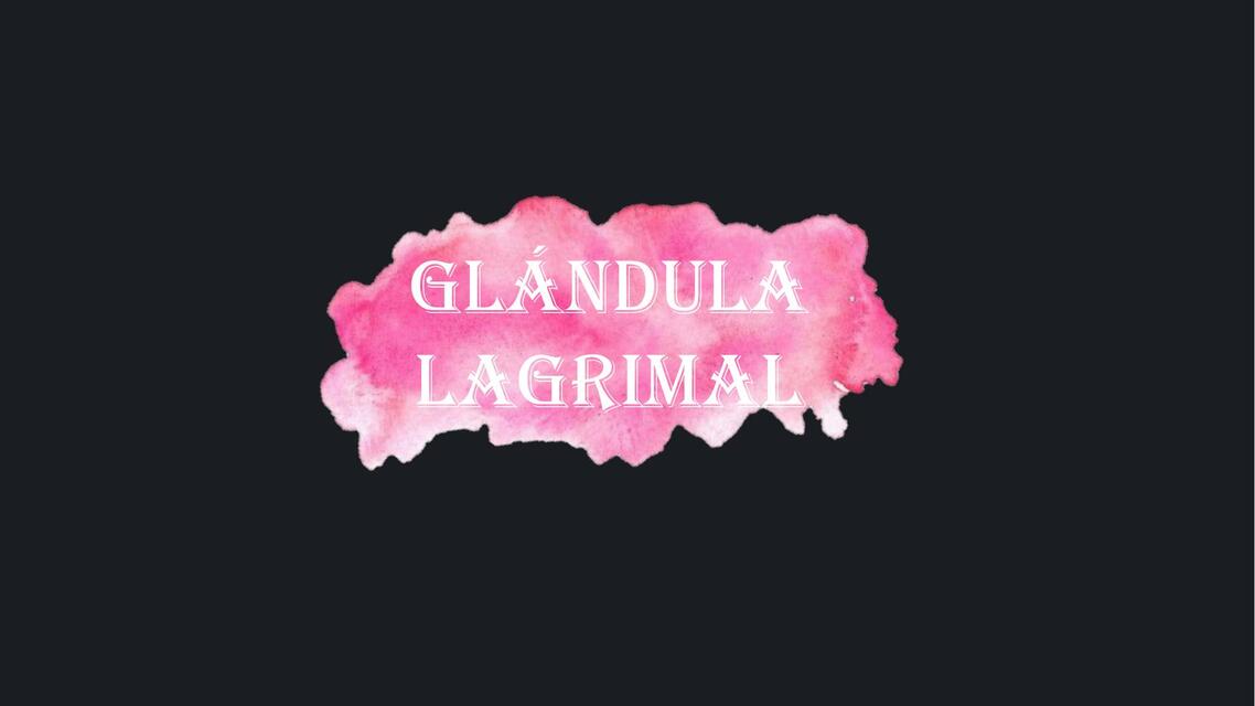 Glándula lagrimal