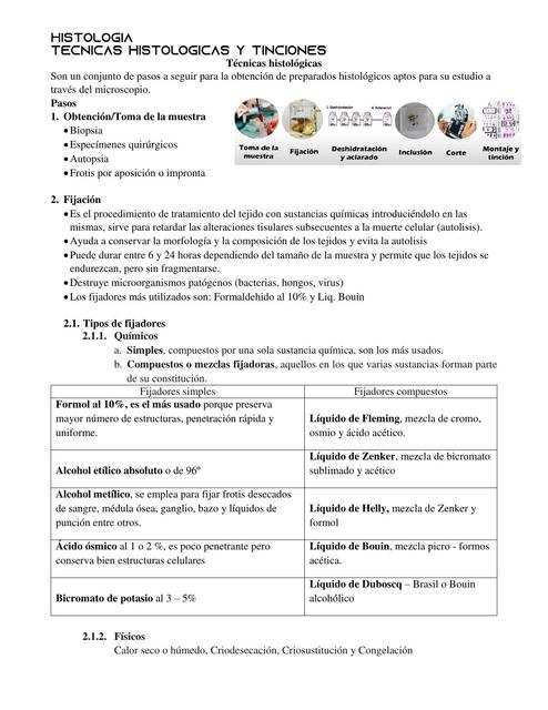 TÉCNICAS HISTOLÓGICAS Y TINCIONES PRÁCTICA 2