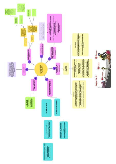 Primeros auxilios 