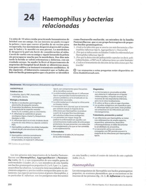 Haemophilus y Bacterias Relacionadas 