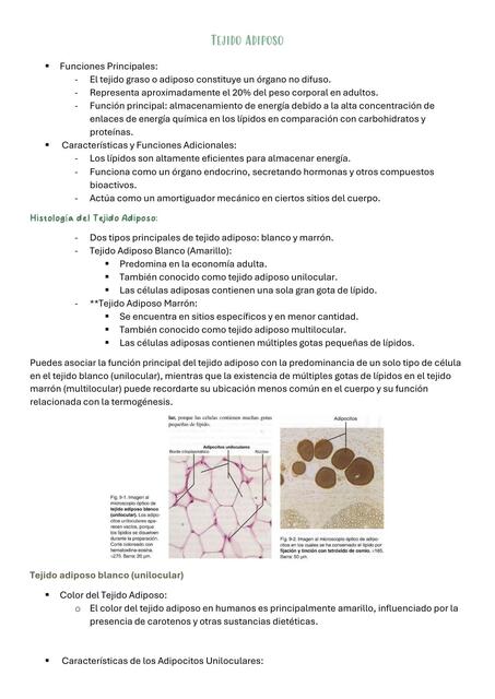 TEJIDO ADIPOSO - HISTOLOGIA GENESER