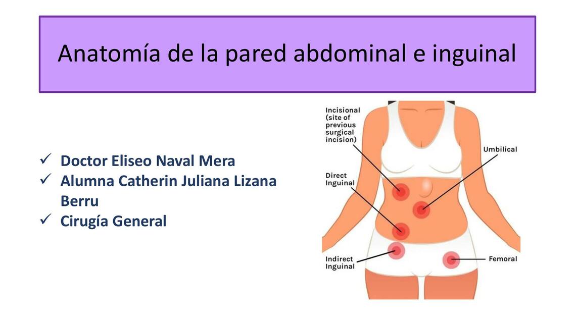 Anatomia de la pared abdominal e inguinal 