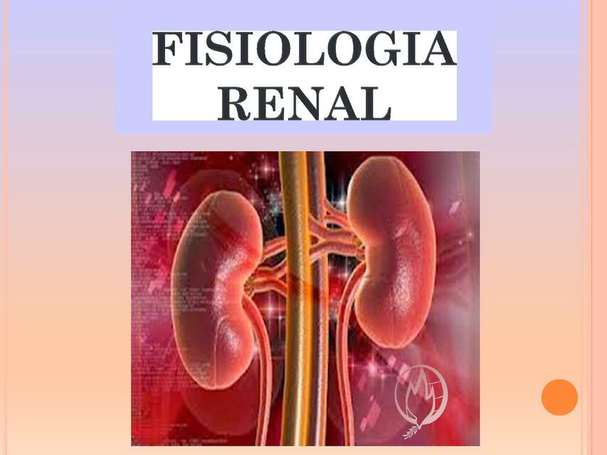 Fisiología Renal 