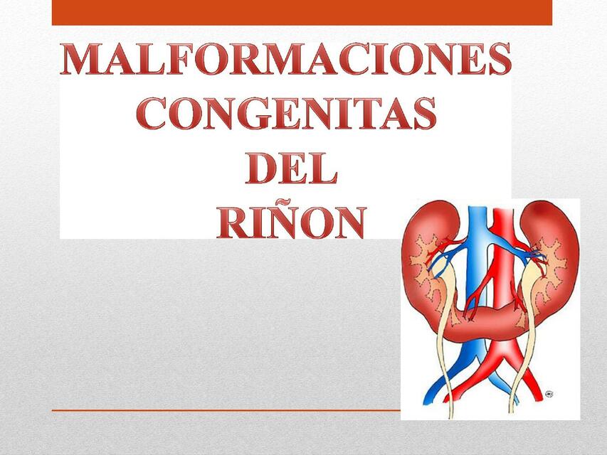 Malformaciones Congénitas del Riñón 