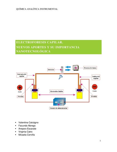 Electroforesis capilar