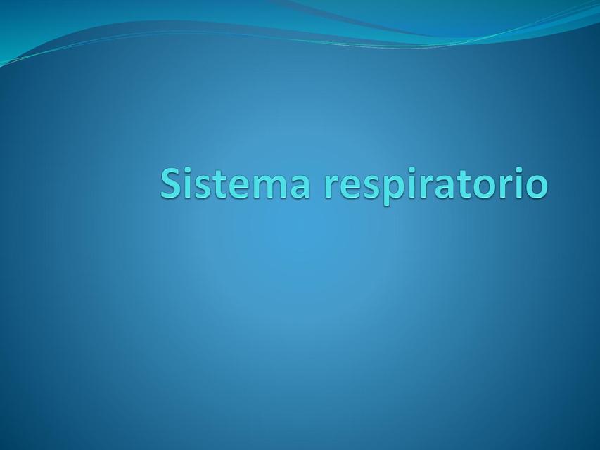 Aparato respiratorio imed