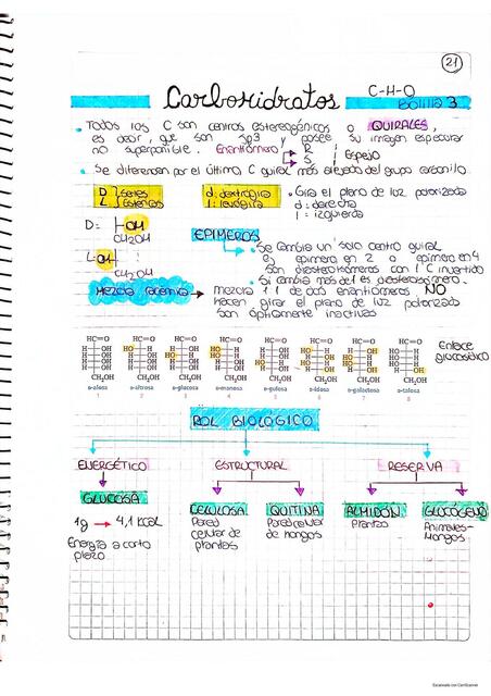 Carbohidratos 