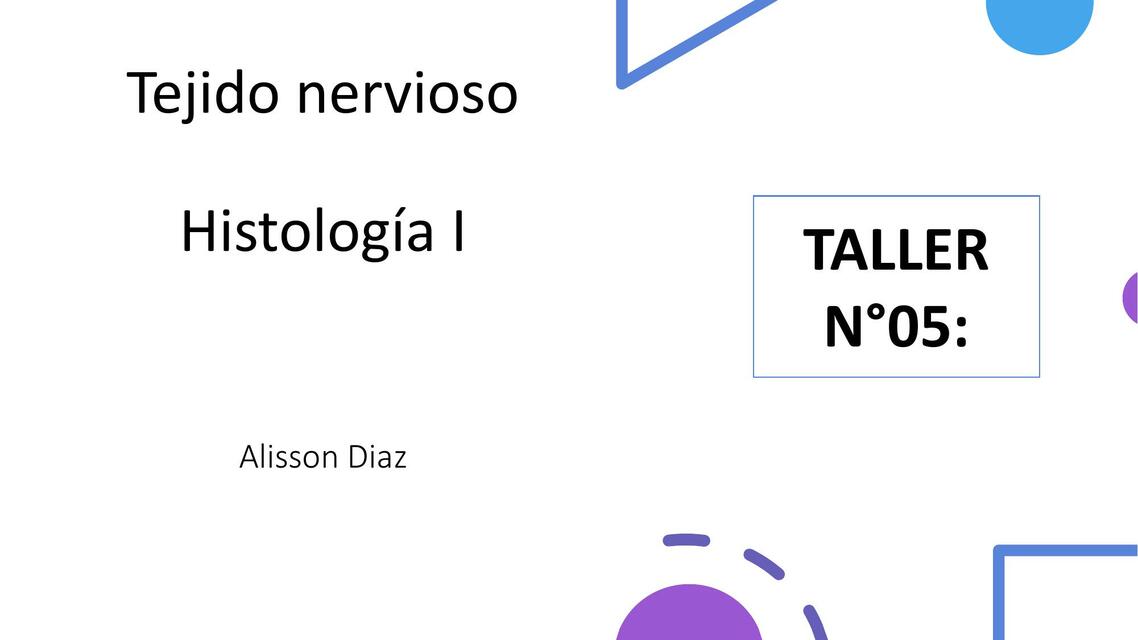 Tejido Nervioso