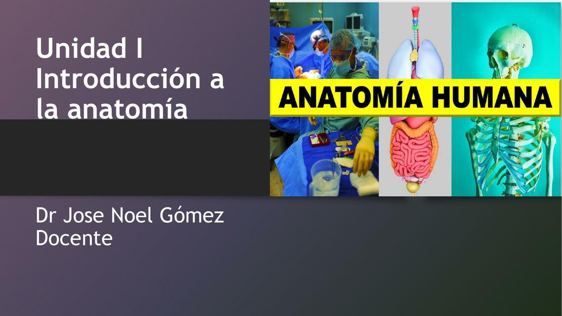 Introducción a la Anatomía 