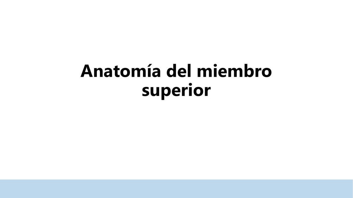 Anatomía del Miembro Superior