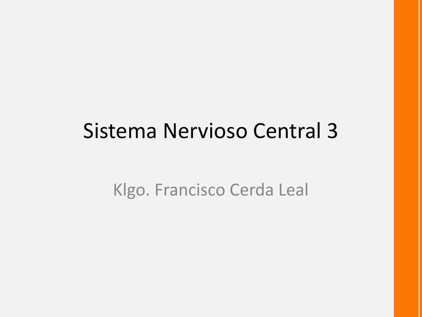 Sistema Nervioso Central 3 