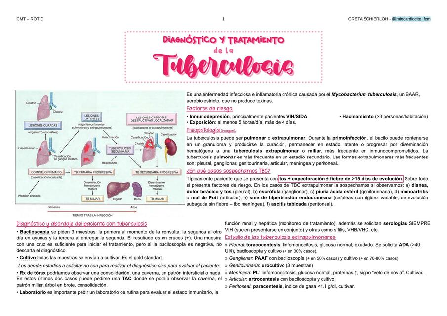 Diagnóstico y tratamiento de la tuberculosis