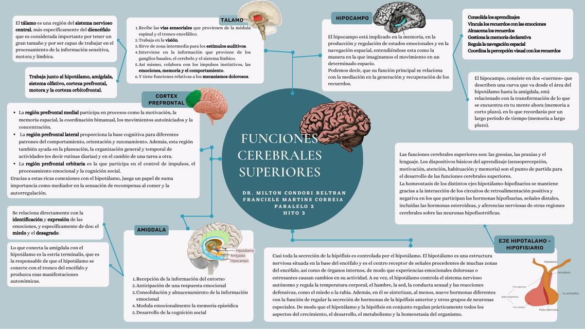 Funciones cerebrales superiores 