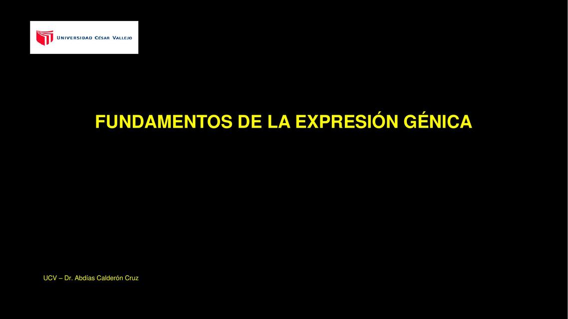 Fundamentos de la expresión génica