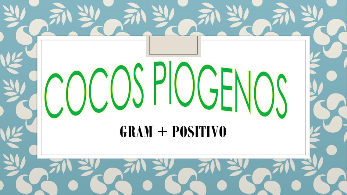 Cocos piógenos gram positivos 