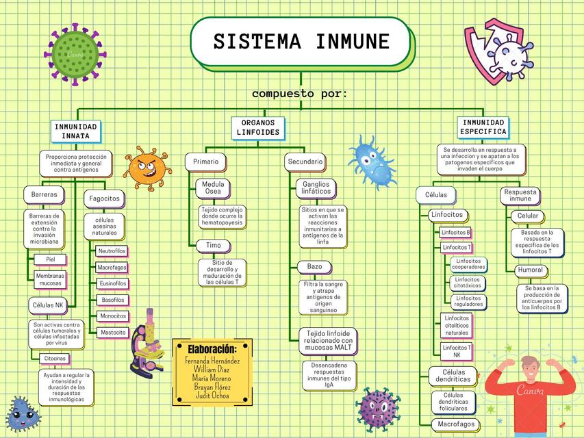 Mapa conceptual sistema inmune 