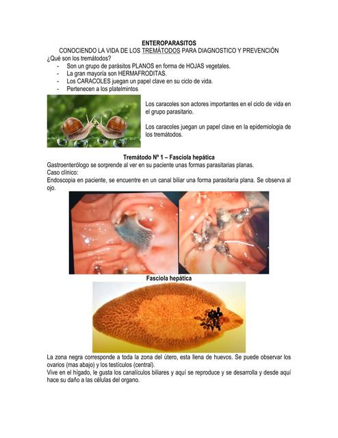 PARASITOLOGIA