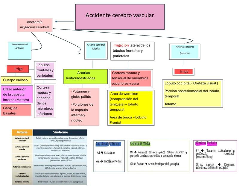 Accidente cerebro vascular  