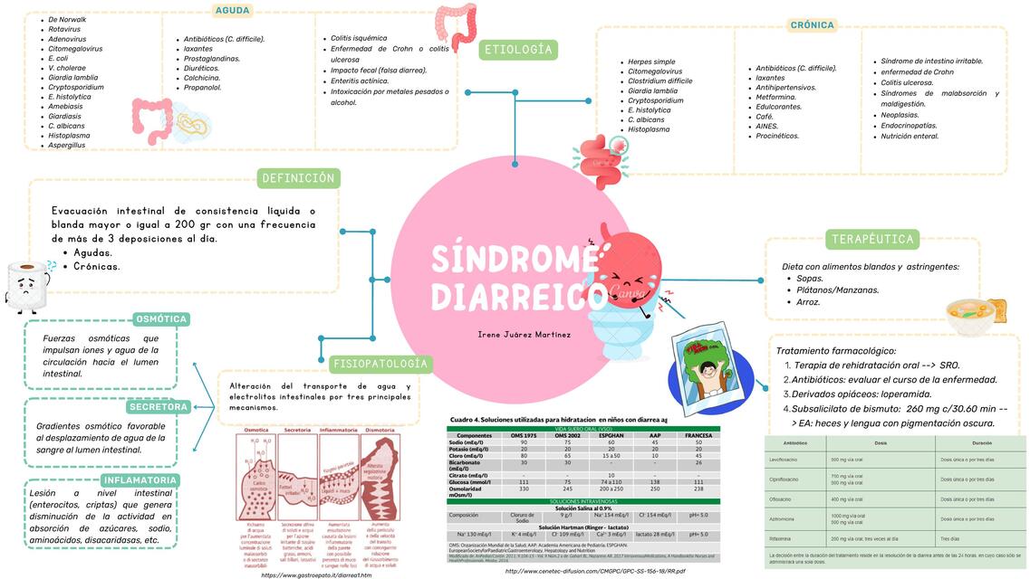 Síndrome Diarreico 