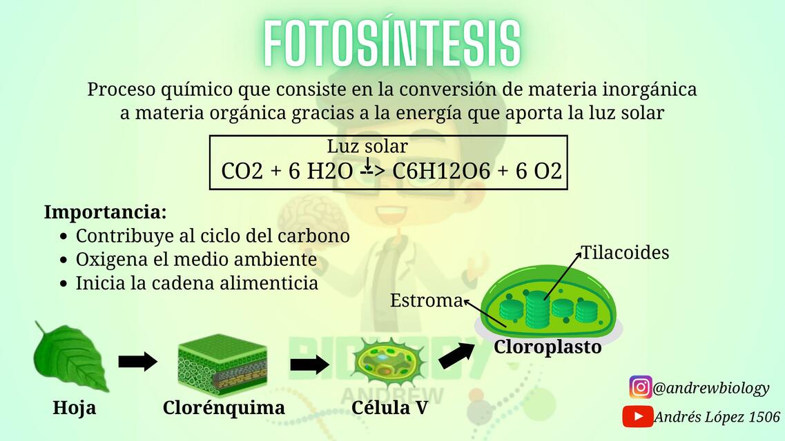 Fotosíntesis 