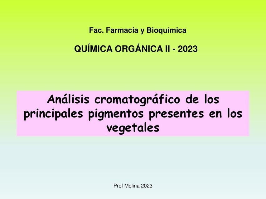 Análisis Cromatográfico de los Principales Pigmentos Presentes en los Vegetales