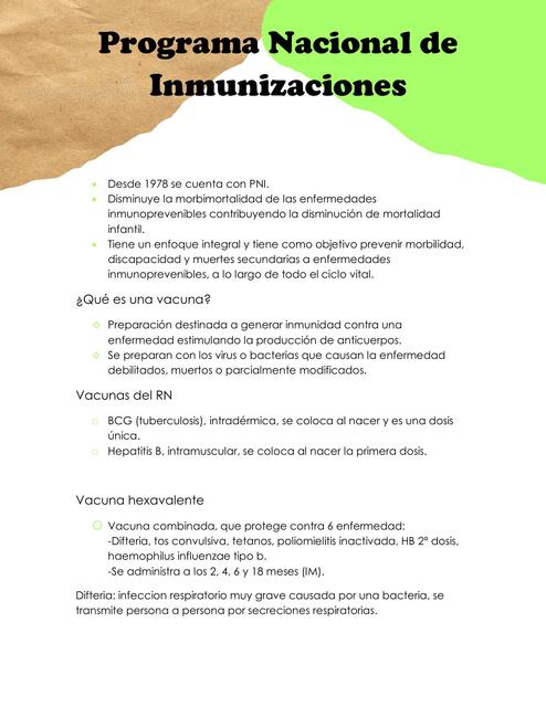 Programa Nacional de Inmunizaciones 