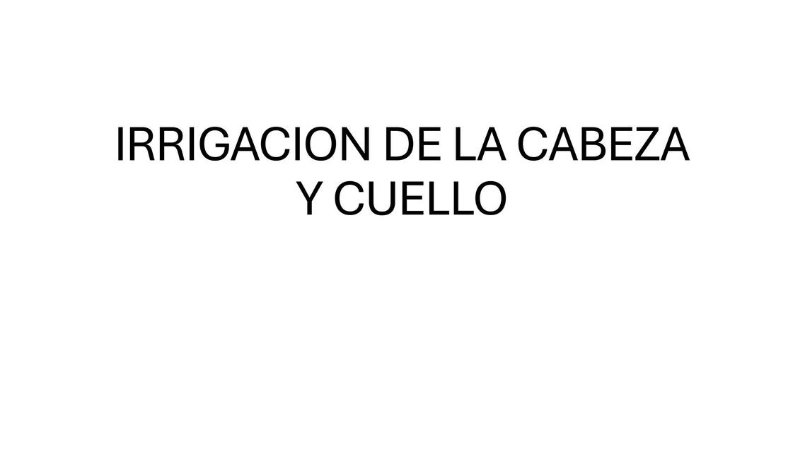 Irrigación de la cabeza y cuello 