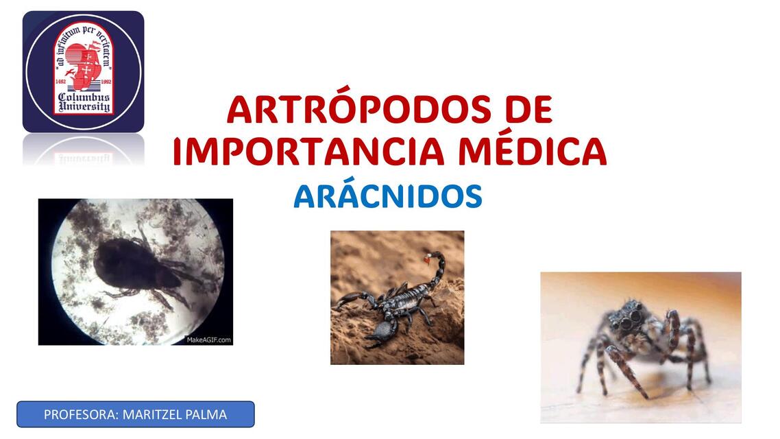 Artrópodos de importancia médica  