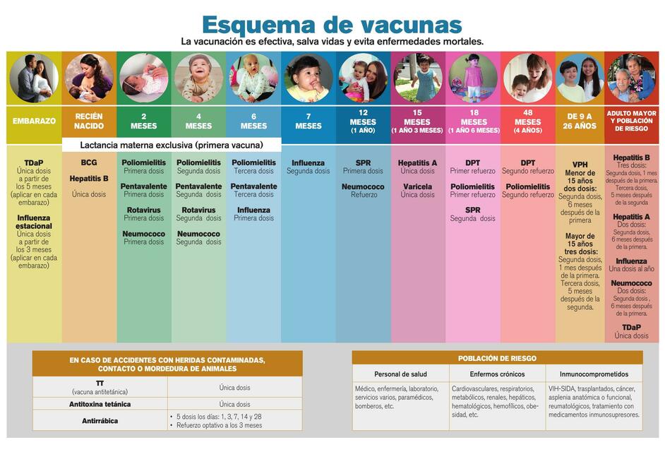 Esquema de vacunas IGSS